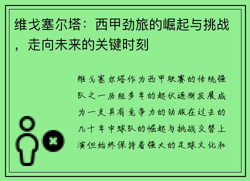 维戈塞尔塔：西甲劲旅的崛起与挑战，走向未来的关键时刻