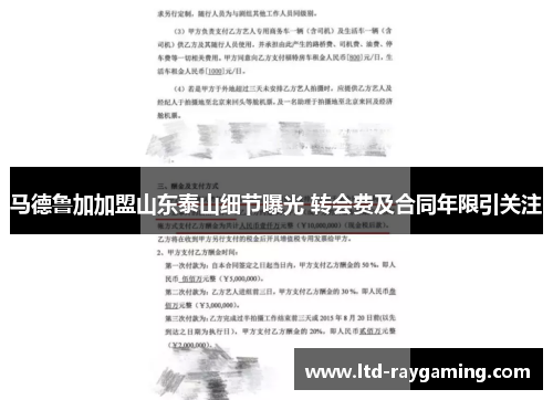 马德鲁加加盟山东泰山细节曝光 转会费及合同年限引关注