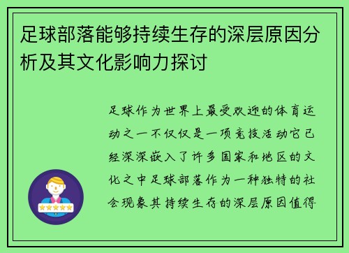 足球部落能够持续生存的深层原因分析及其文化影响力探讨
