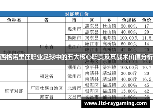 西格诺里在职业足球中的五大核心职责及其战术价值分析